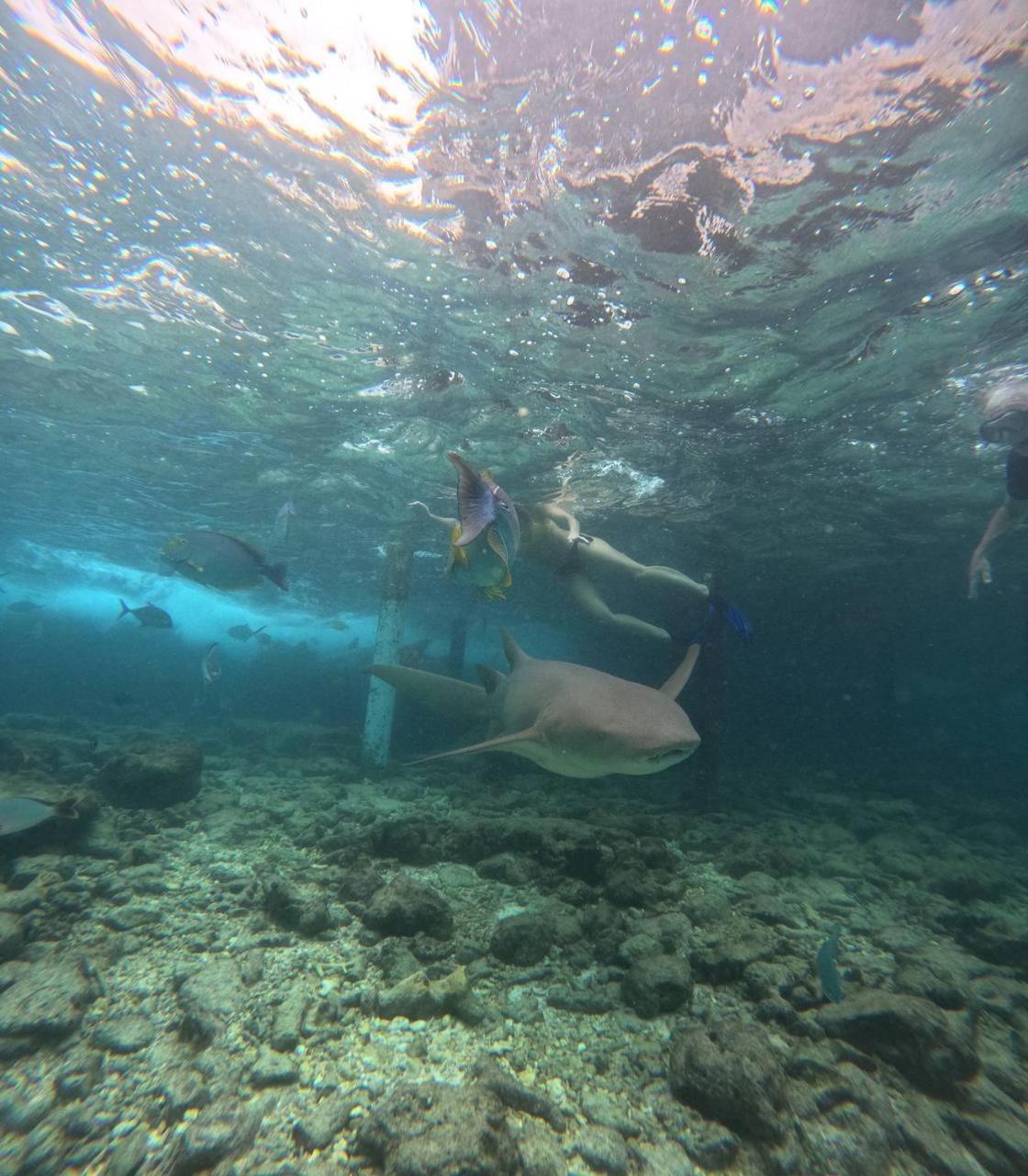 Nirili Villa Dhiffushi Kültér fotó