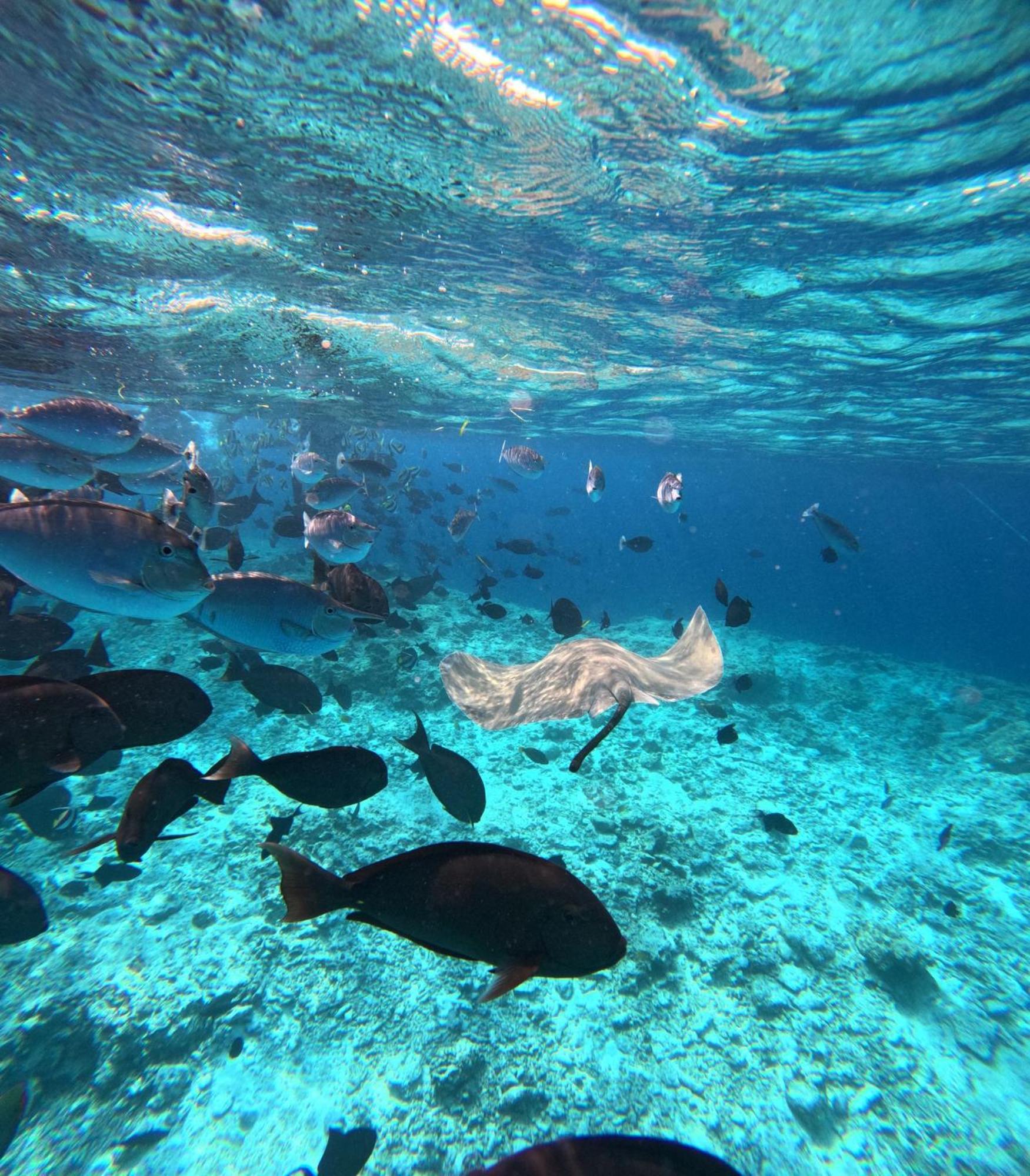 Nirili Villa Dhiffushi Kültér fotó